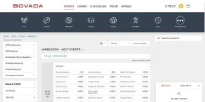 Image alt tag_ Bovada Sports.webp